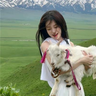 绝命休息站 在线观看封面